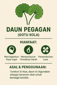 Daun Pegagan