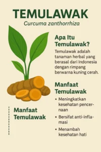 temulawak